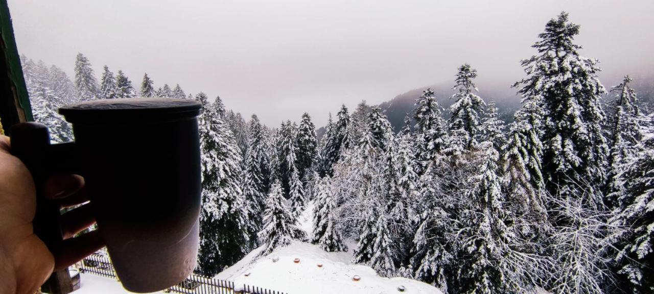 La Cabane De Marie La Bollene-Vesubie Екстер'єр фото